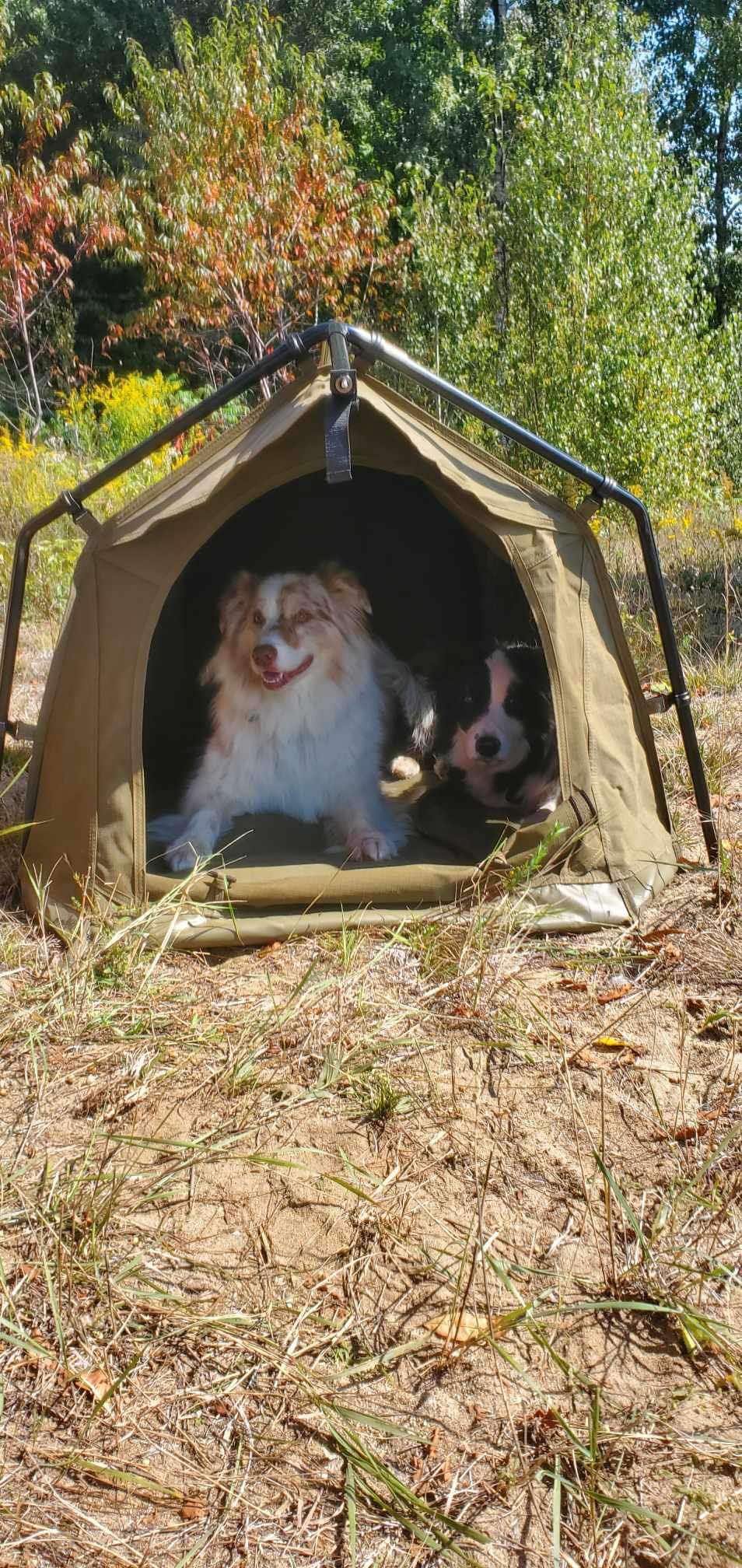 23Zero Woof-Den – Outdoor Dog Tent
