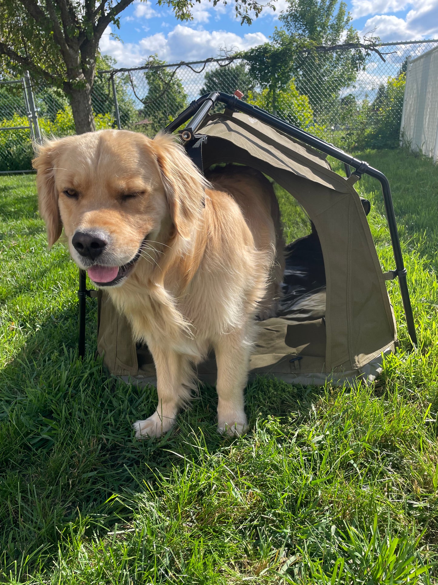 23Zero Woof-Den – Outdoor Dog Tent