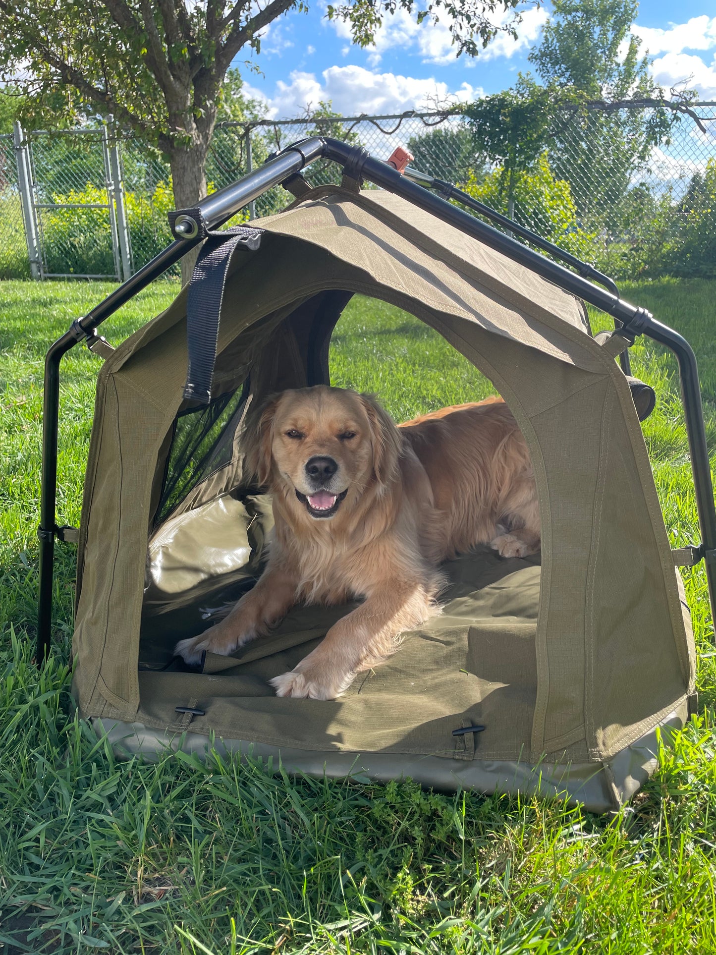 23Zero Woof-Den – Outdoor Dog Tent