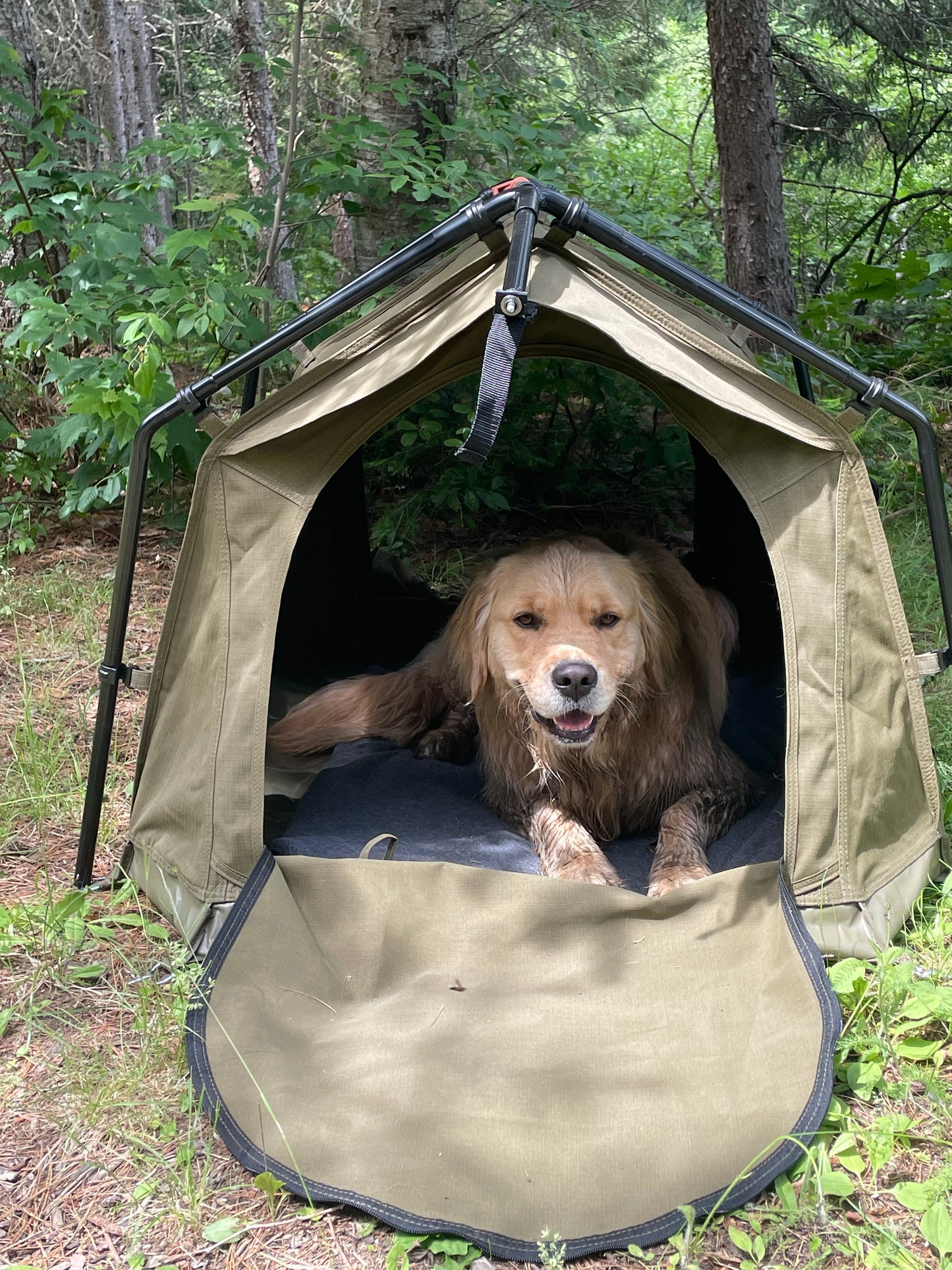 23Zero Woof-Den – Outdoor Dog Tent