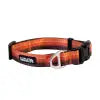 Backtrack Dog Collar - Kuma KUMA OUTDOOR GEAR