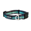 Backtrack Dog Collar - Kuma KUMA OUTDOOR GEAR