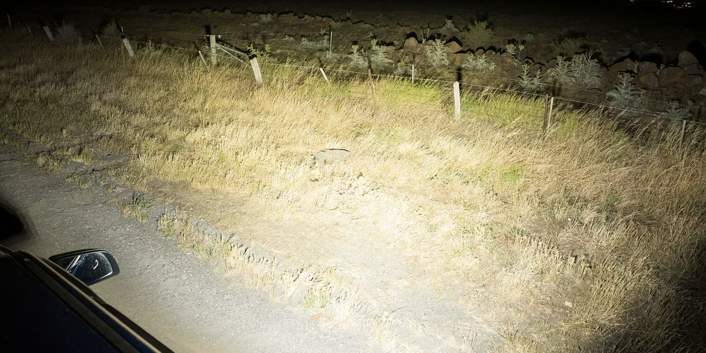 Work Light - 12 Led Flood - Stedi LEDWORK-12L-FLOOD