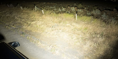 Work Light - 12 Led Flood - Stedi LEDWORK-12L-FLOOD