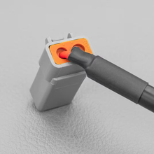 Wiring Extension Cable 2M Deutsch Connector (DT-P) - Stedi WIREXTENSION-DTP