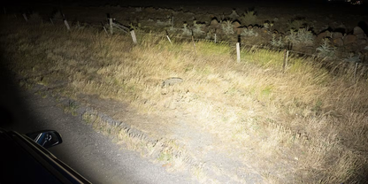 Work Light - 9Led Flood - Stedi LEDWORK-9L-FLOOD