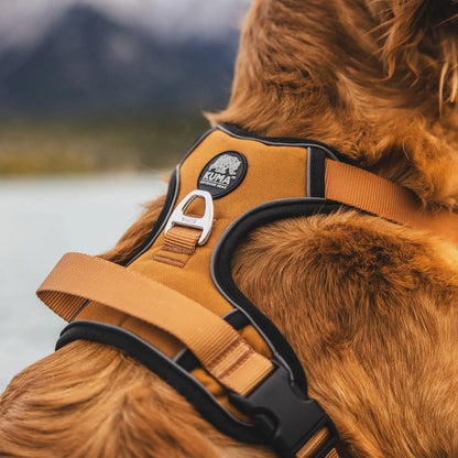 Lazy Bear Dog Harness- Kuma 706-KM-LBH-HG-S KUMA OUTDOOR GEAR