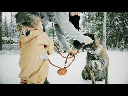 Lazy Bear Dog Chair- Kuma 844-KM-DG-HG